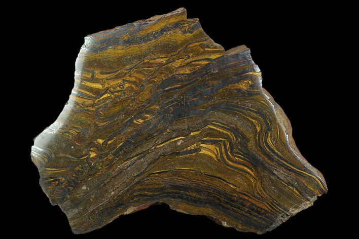 Polished Tiger's Iron Slab - South Africa #128521